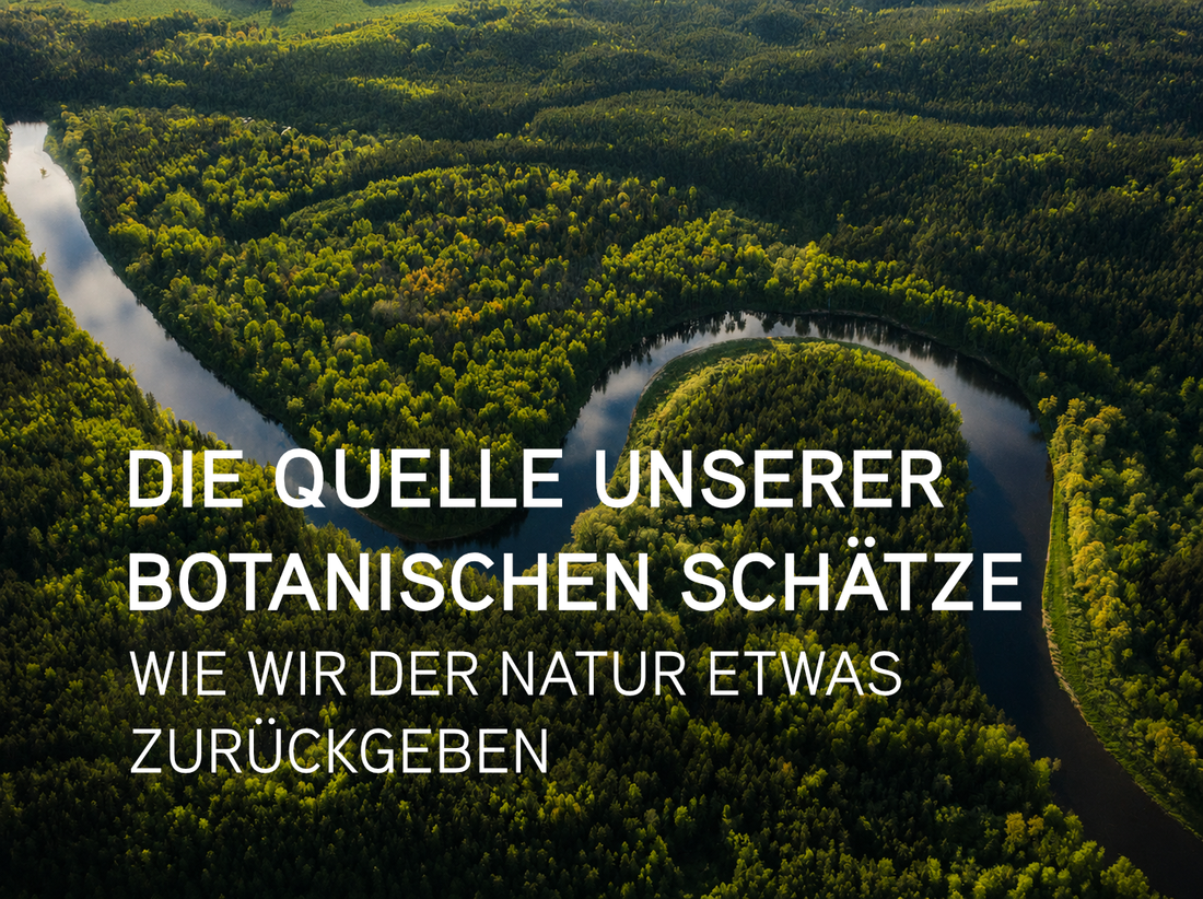 Die Quelle unserer botanischen Schätze: wie wir der Natur etwas zurückgeben