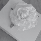 Gray-scale image of a flower on a textured surface